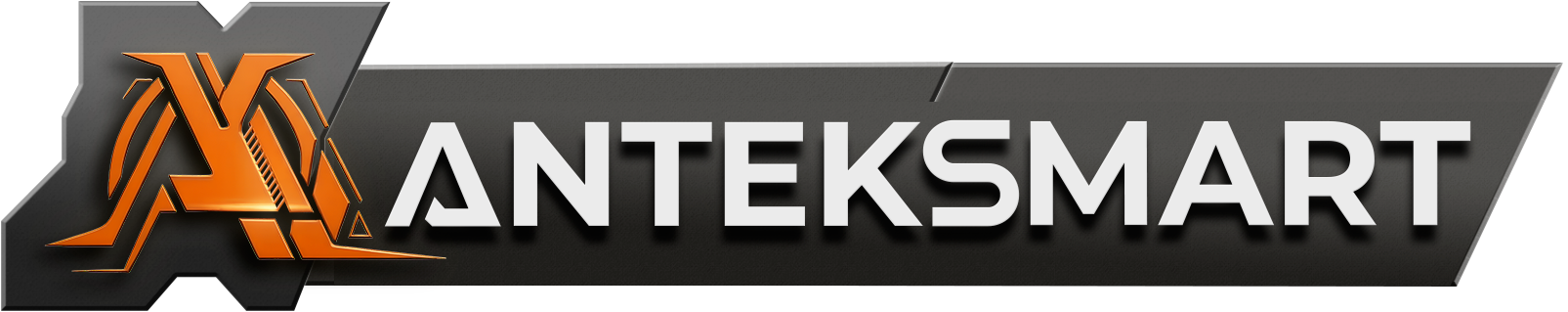 ANTEKSMART